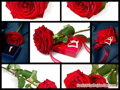 Рози и подарък за теб