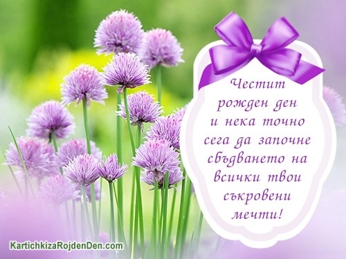 Честит рожден ден и нека точно сега да започне сбъдването на всички твои съкровени мечти